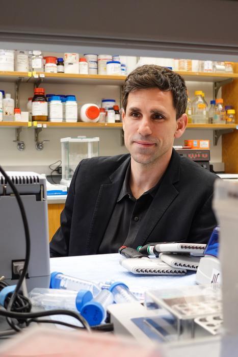 AI在古菌中识别出抗菌化合物