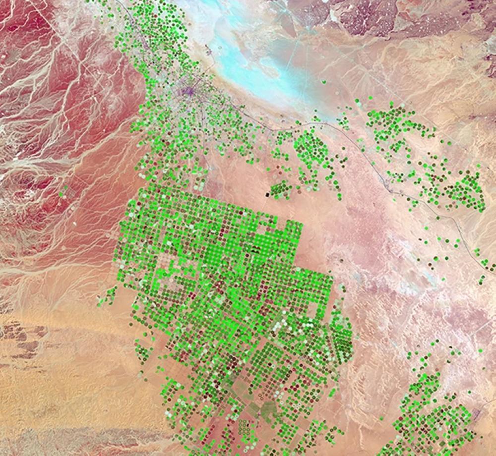 AI&ldquo;虚拟卫星&rdquo;追踪全球地表变化