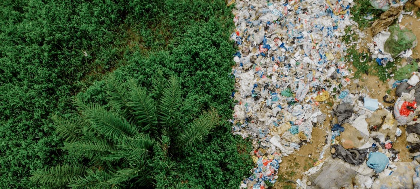 《柳叶刀》杂志警示：塑料污染每年造成损失超1.5万亿美元