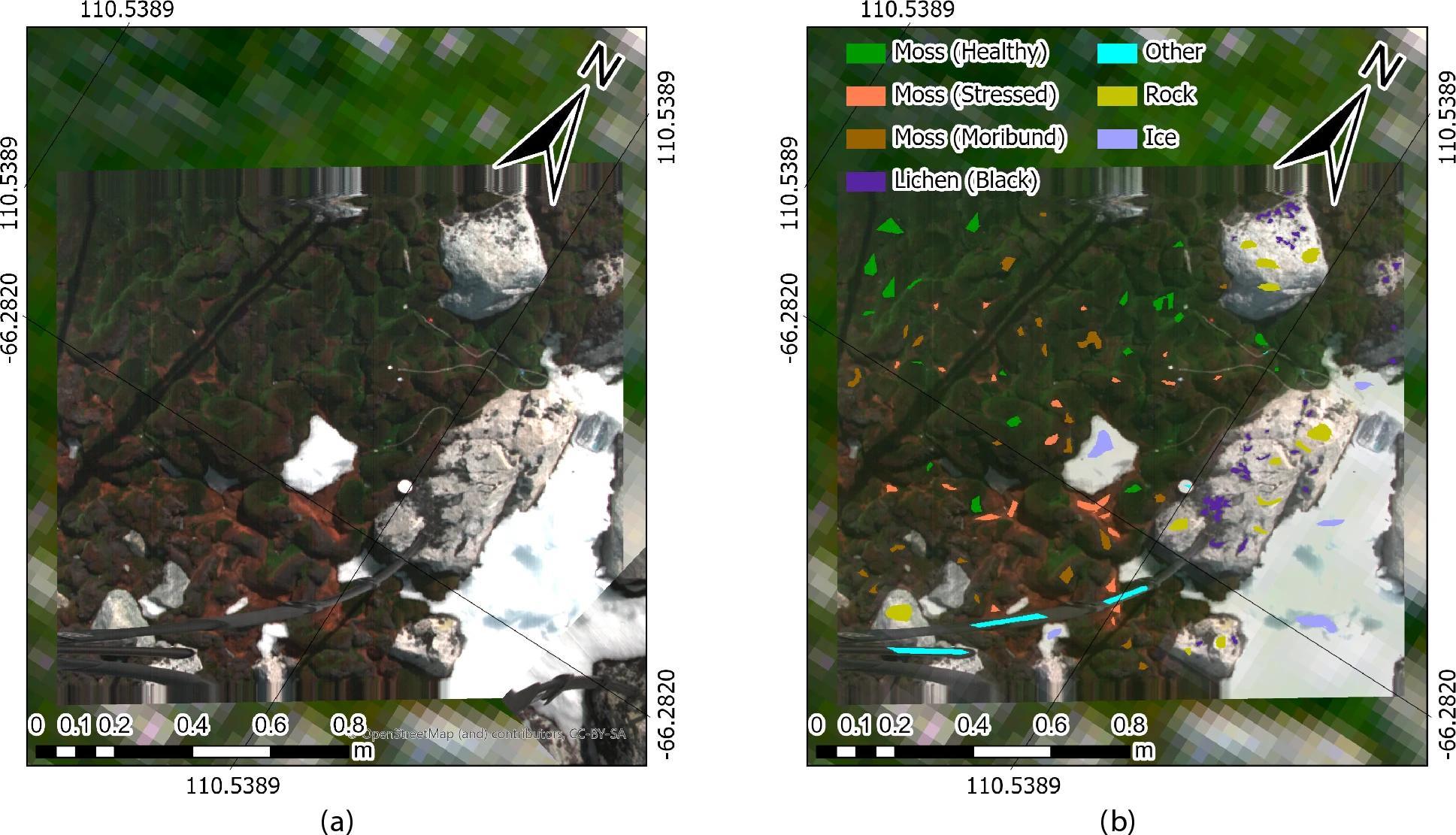 先进遥感系统绘制南极独特植被地图