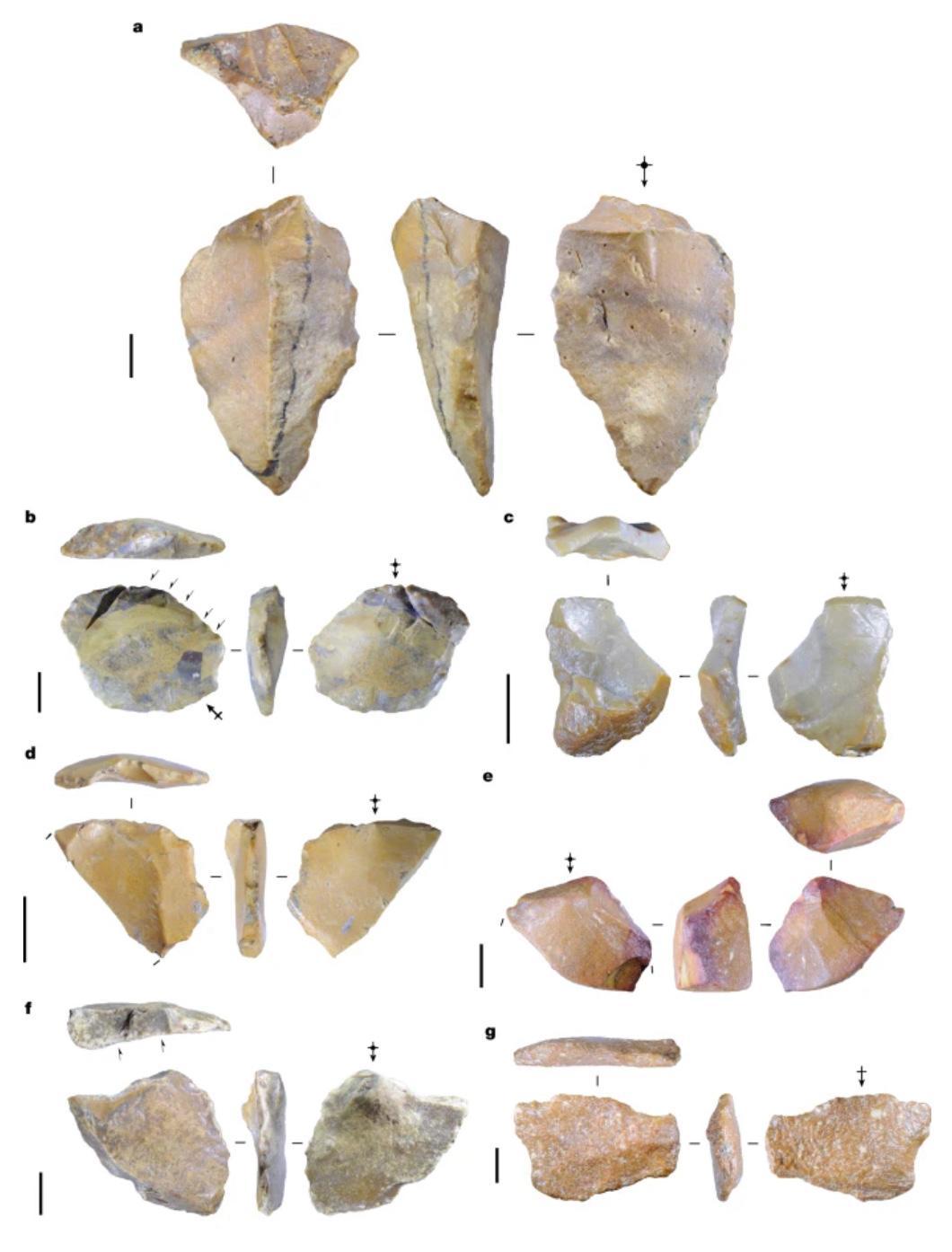 古人类更早跨越海洋的证据出现