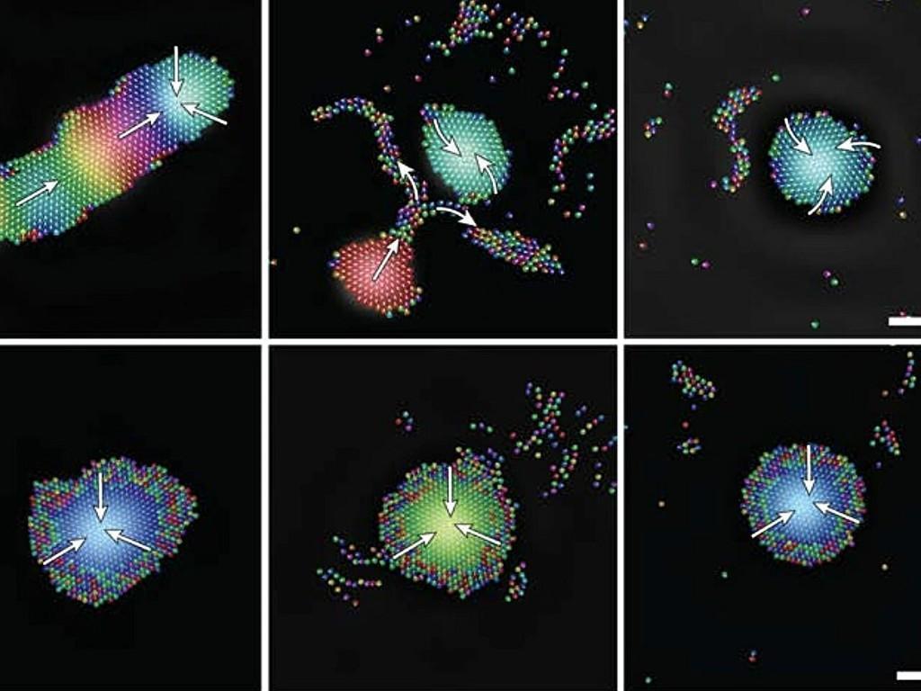 微型机器人能用声波自组成智能集群