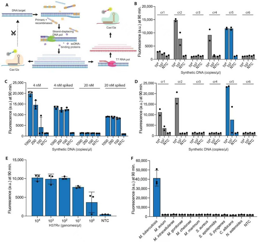 全新试剂检测结核病实现零误判