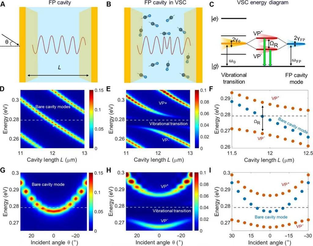 量子平台让分子&ldquo;心跳&rdquo;清晰可辨